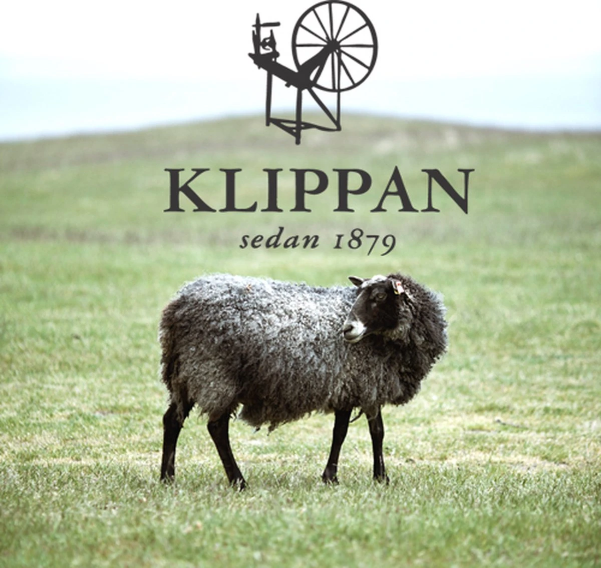 Klippan Yllefabrik Klippan- Gotland- Woondeken - Plaid - Lamswol En Gotland Wol - Pastel - 130cm X 200cm 6 Klippan Yllefabrik Klippan- Gotland- Woondeken - Plaid - Lamswol En Gotland Wol - Pastel - 130cm X 200cm - Afbeelding 4